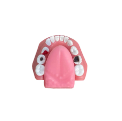 Manequim de odontopediatria com freio orais