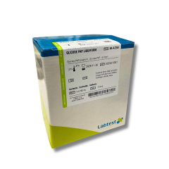 Labt glicose pap liquiform ref 84-4/250