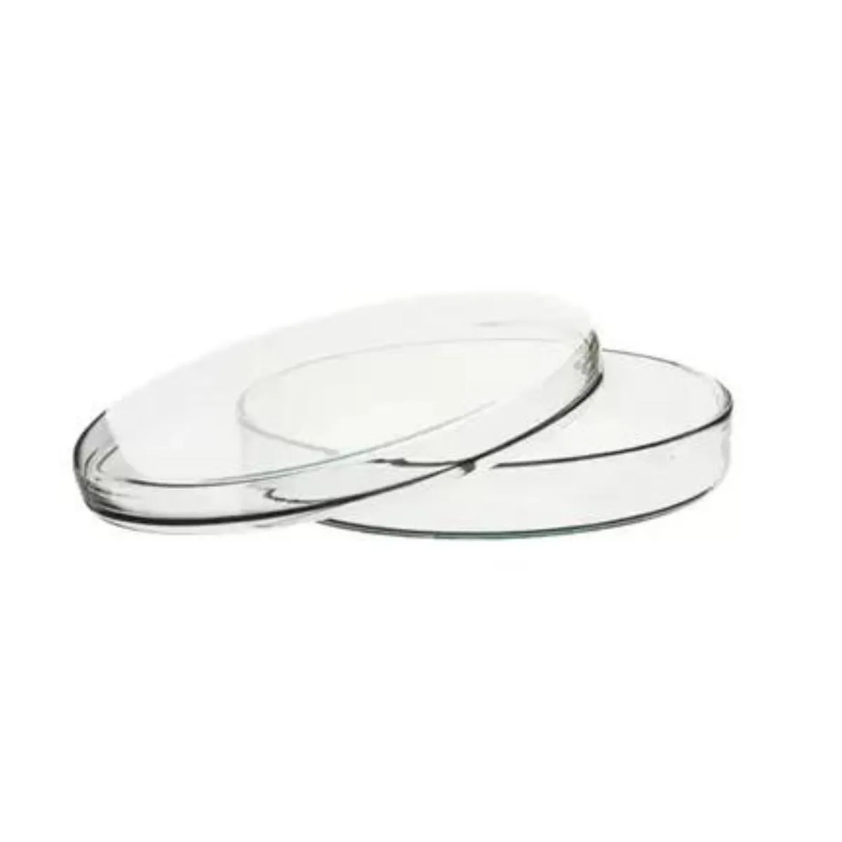 Placa de petri 080x15 perfecta